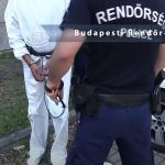 Klauzál téri bántalmazó